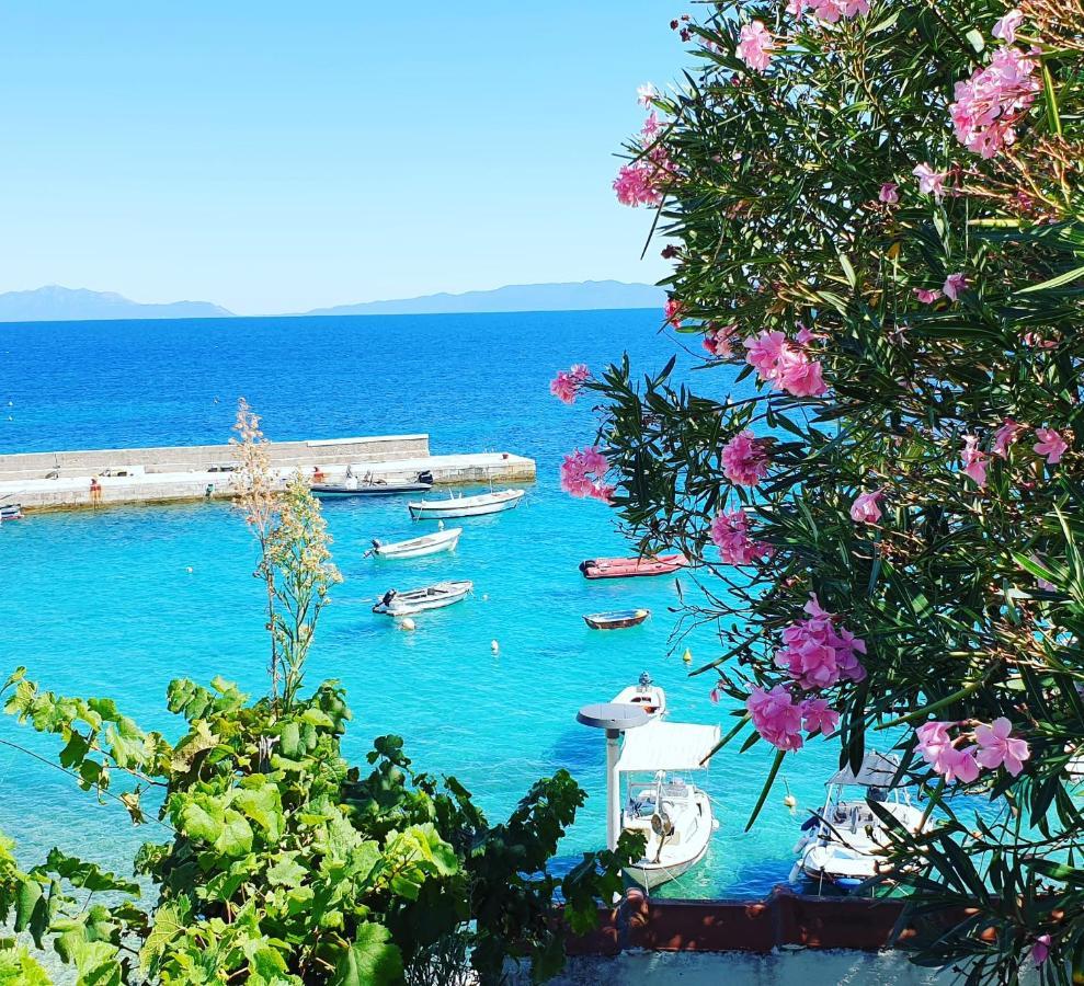 Pansion Braco Bed and Breakfast Zavala Εξωτερικό φωτογραφία