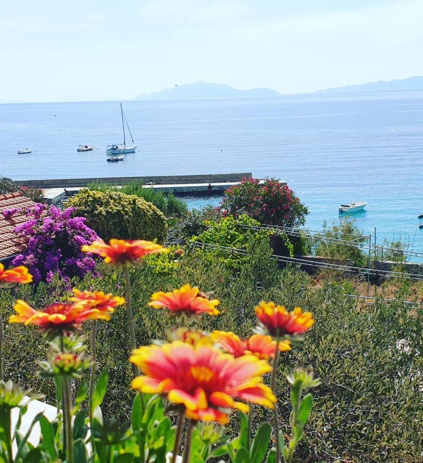 Pansion Braco Bed and Breakfast Zavala Εξωτερικό φωτογραφία