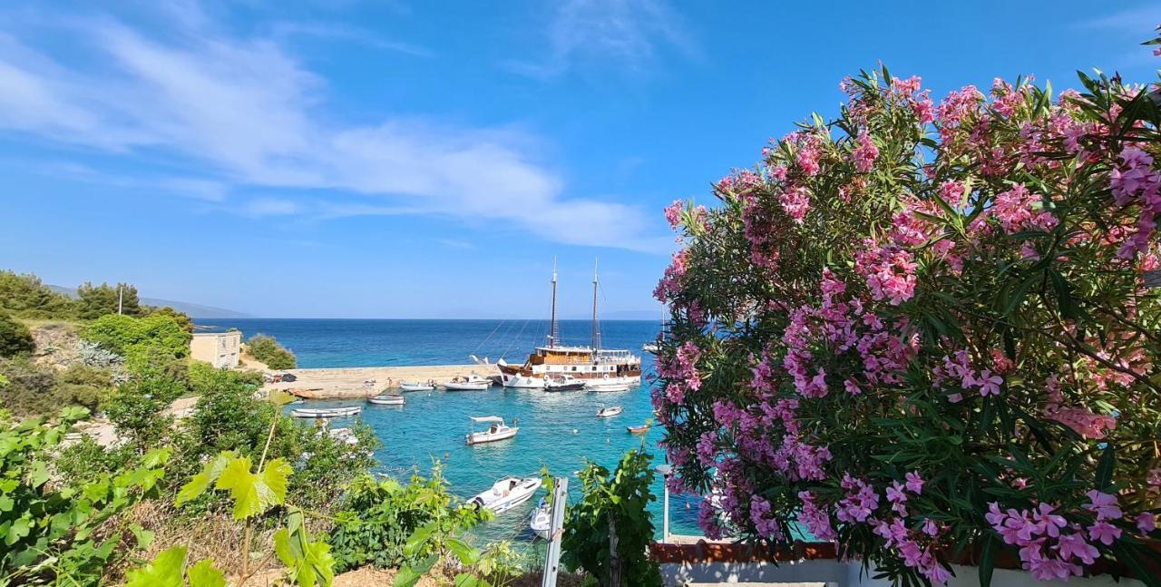 Pansion Braco Bed and Breakfast Zavala Εξωτερικό φωτογραφία