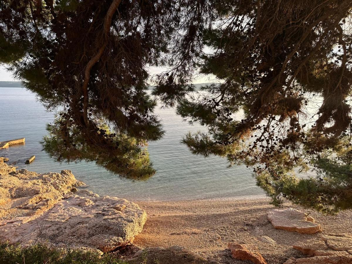 Pansion Braco Bed and Breakfast Zavala Εξωτερικό φωτογραφία