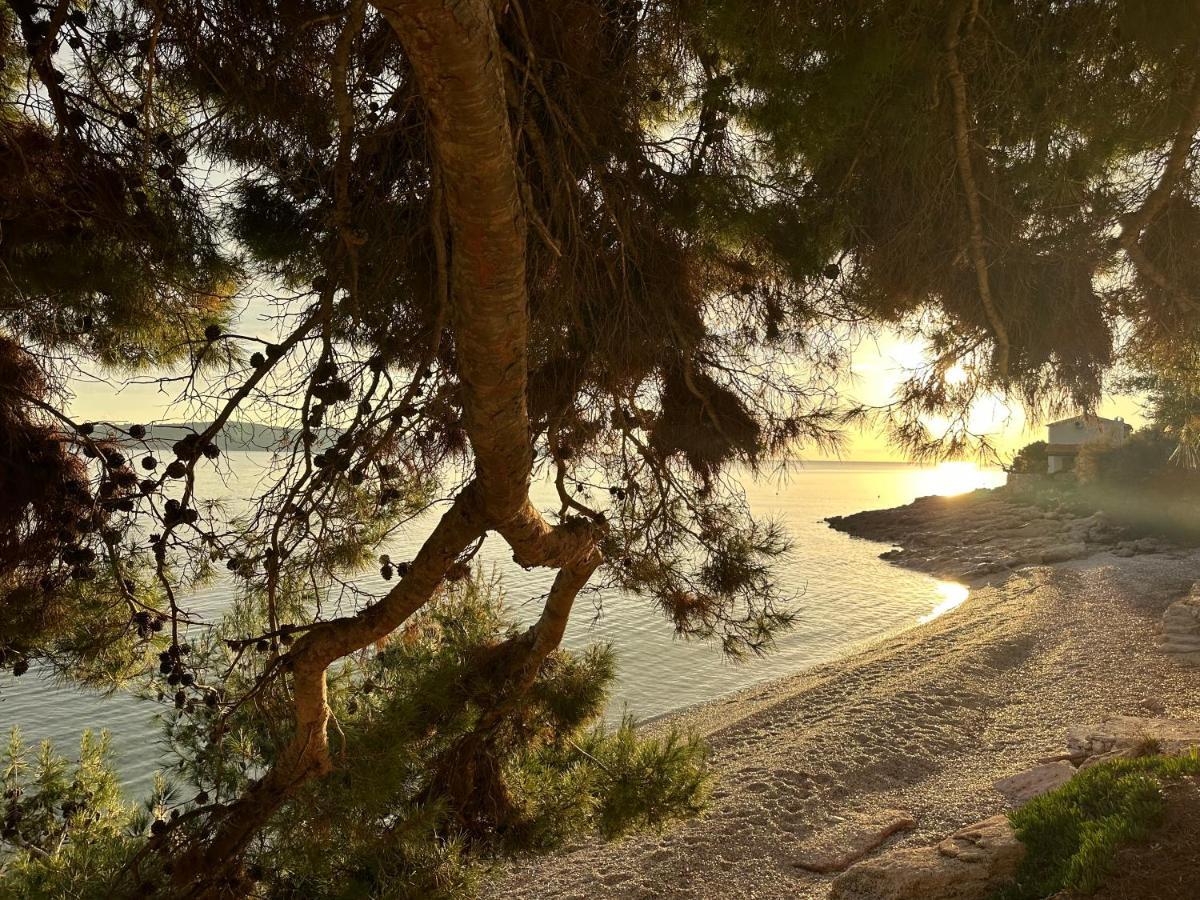 Pansion Braco Bed and Breakfast Zavala Εξωτερικό φωτογραφία