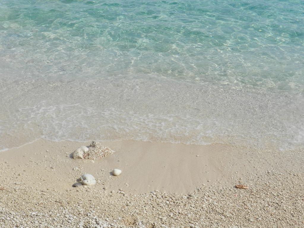 Pansion Braco Bed and Breakfast Zavala Εξωτερικό φωτογραφία